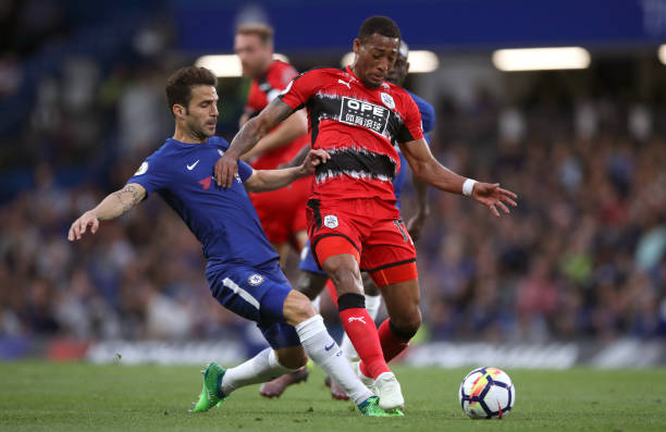 不确定的背 不确定的背