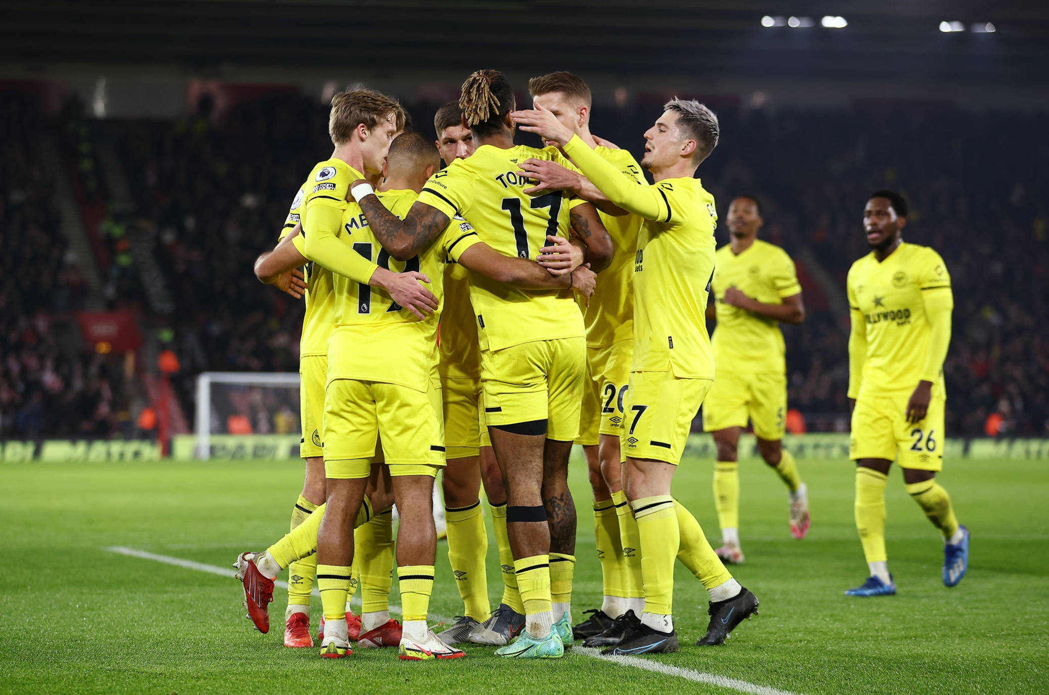 盟皇家贝蒂 盟皇家贝蒂